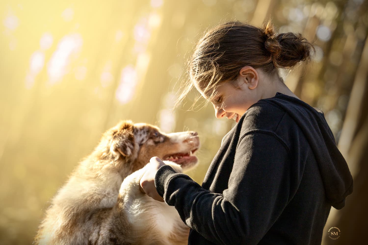 A janela das 8 às 16 semanas: o que fazes agora define o cão para sempre