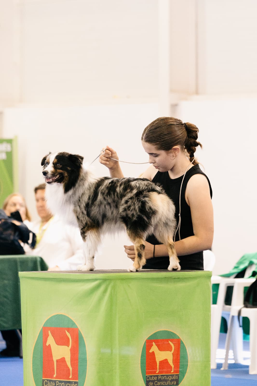 Avaliação de estrutura em exposição canina CPC