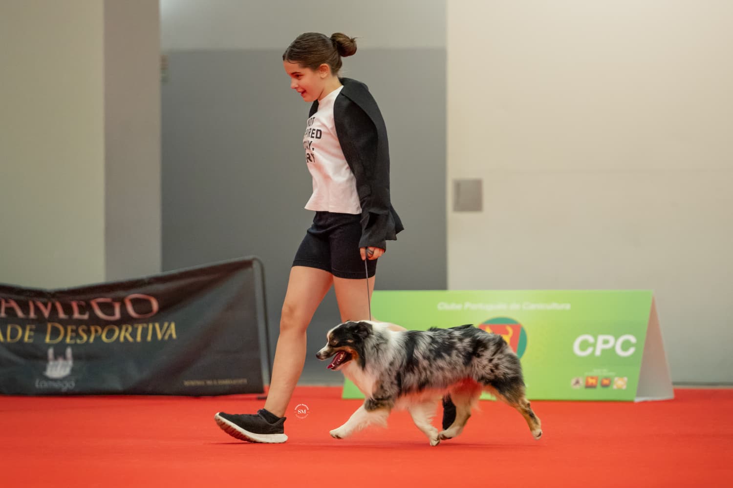 Em pista na exposição canina — Guardas do Berço