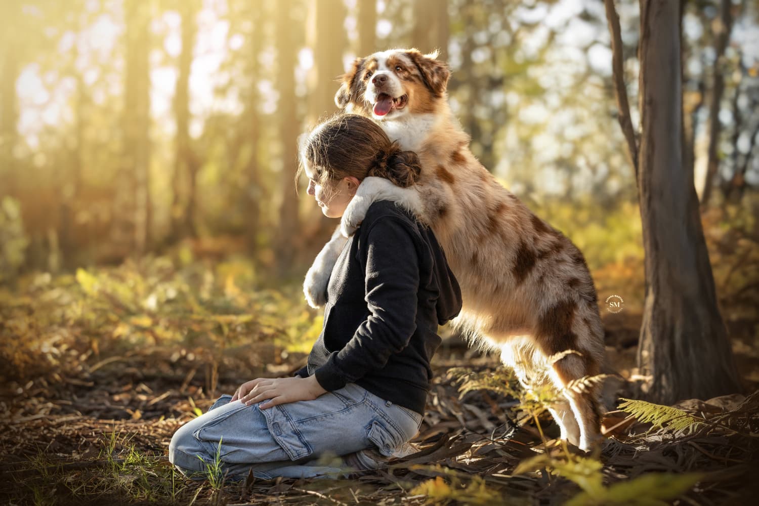 Criança com Pastor Australiano, família e cão, formação canina Portugal